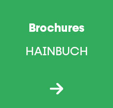 Catalogues HAINBUCH